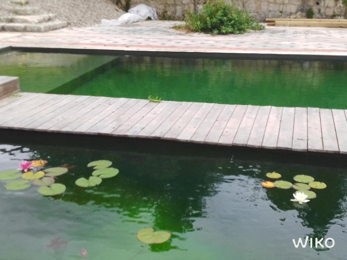 Gite Les Cabanes De Fallot Pour 15 Personnes - Piscine Naturelle L'isle-Bouzon المظهر الخارجي الصورة
